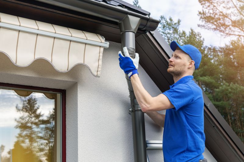 Gutter and Roof Edge Maintenance